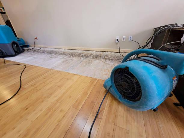 Professional Water Damage Repair technician working in Delavan, IL